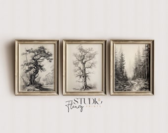 Zestaw 3 wydruków ściennych Vintage Tree Sketch Gallery | Wydruk grafitowy Tree Sketches | POBIERZ cyfrowy | Studio Fleury Prints | G-0001