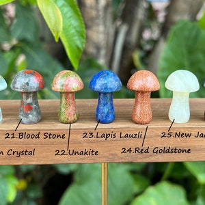 1 Inch Crystal Mushroom,Mini Mushroom Decor,Healing Crystal,Rose Quartz/Crystal Quartz/Amethyst Mushroom Decor,Gemstone Mushroom,For Gift. image 5