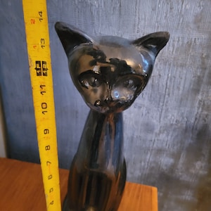 Blue Mountain Rare Blue Cat