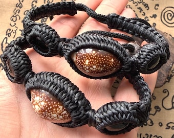 Energy Healing & Protection Biage Shell and Leklai Tarad Protective Bracelet, Energy Healing, Good Luck Charm - Crystal Bangle Stone Amulet