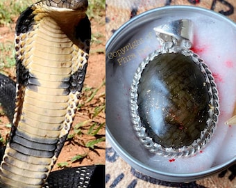 Powerful NAGAMANI Black Cobra Pearl - Authentic Cobra Pearl Pendant With King Centipede Pearl for Wealth Fetching, Attracting Luck & Power