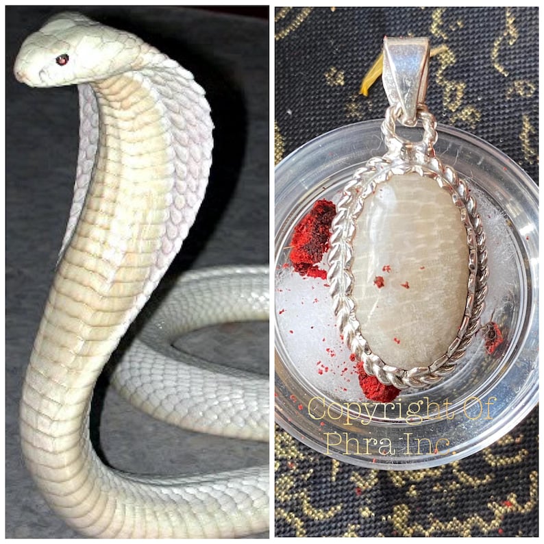 May include: A white cobra figurine with textured scales and red eyes positioned next to an oval pendant featuring a smooth, light-colored stone set in a silver rope-style frame, resting inside a clear container with red powder and text Copyright Of Phra Inc.