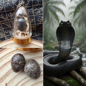 Extraordinary Cobra Stone Black “Nagamani” Pearl Naga Mani for Wealth, Fortune, Luck Attraction, Gambling, Amulet Khodam