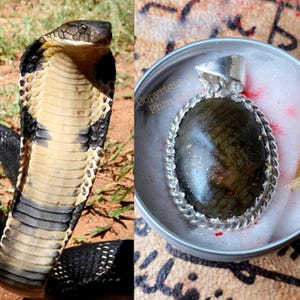 Rare Nagamani Black Cobra Pearl Pendant Necklace Jewelry Silver With King Centipede Mustika Pearl : Wealth Attraction, Gambling, Protection