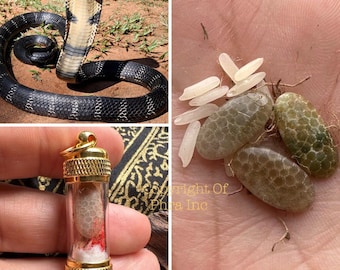 RARE Mini Cobra Pearl Amulet Stone Mystical Gem - for Wealth Attraction, Protection, Spiritual healing, Gambling Luck, Investment Success