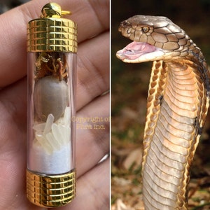 Rare Powerful White King Cobra Pearl &quot;Nagamani&quot; Amulet for Wealth, Fortune, Fame, Power, Authority and Victory over all Enemies