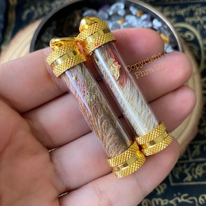 Jackal Siyar Singhi Talisman: Wealth, Protection, Occult Amulet