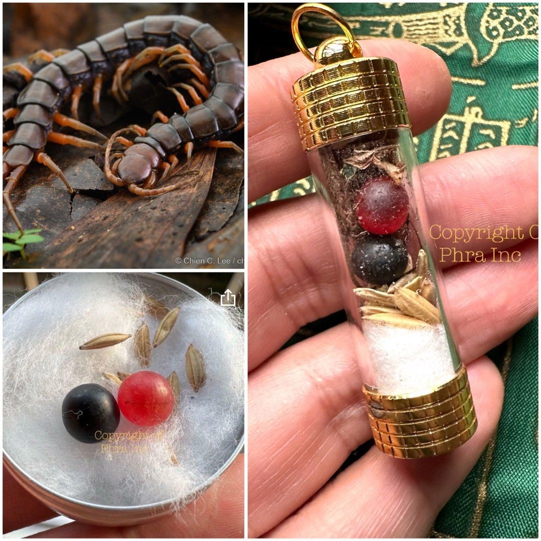 Wealth Fetching & Gambling Luck King Centipede Amulet - Mustika Bezoar Stone - Spiritual Totem Mystic Pearl Pendant Khodamic Bracelet Ring