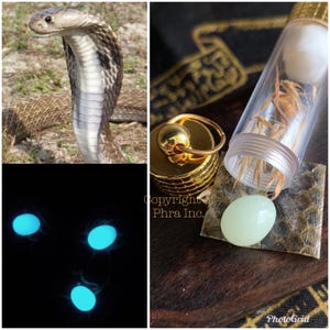 Powerful Wealth Cobra Mustika Totem Stone (Geliga Ular) with Cobra Skin Spiritual Amulet Charm for Wealth, Protection, Luck & Success