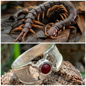 Wealth & Sixth Sense Centipede Pearl Ring (999 Stirling) Silver Ring : Mustika Pearl Amulet Pendant Charm Gambling Luck  Protection