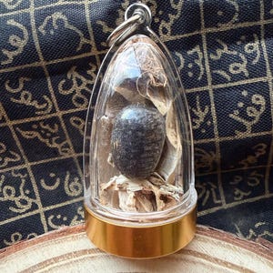 Rare Nagamani Serpent Pearl King Cobra Crown Bezoar Amulet with Cobra Skin - Snake Gem Stone Mustika for Wealth, Protection, Good Luck