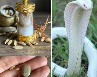 Rare White Cobra Stone Nagamani Mustika Pearl - Geliga Ular Tudong Mystical Cobra Gemstone Bezoar for Luck Attraction Fortune Fame Gambling