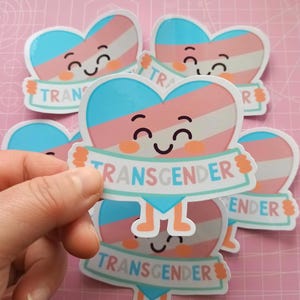Kawaii Trans pride Sticker  “transgender” Banner, LGBTQ+ Vinyl Sticker, Cute Queer sticker, pride flag sticker, pride month sticker, heart