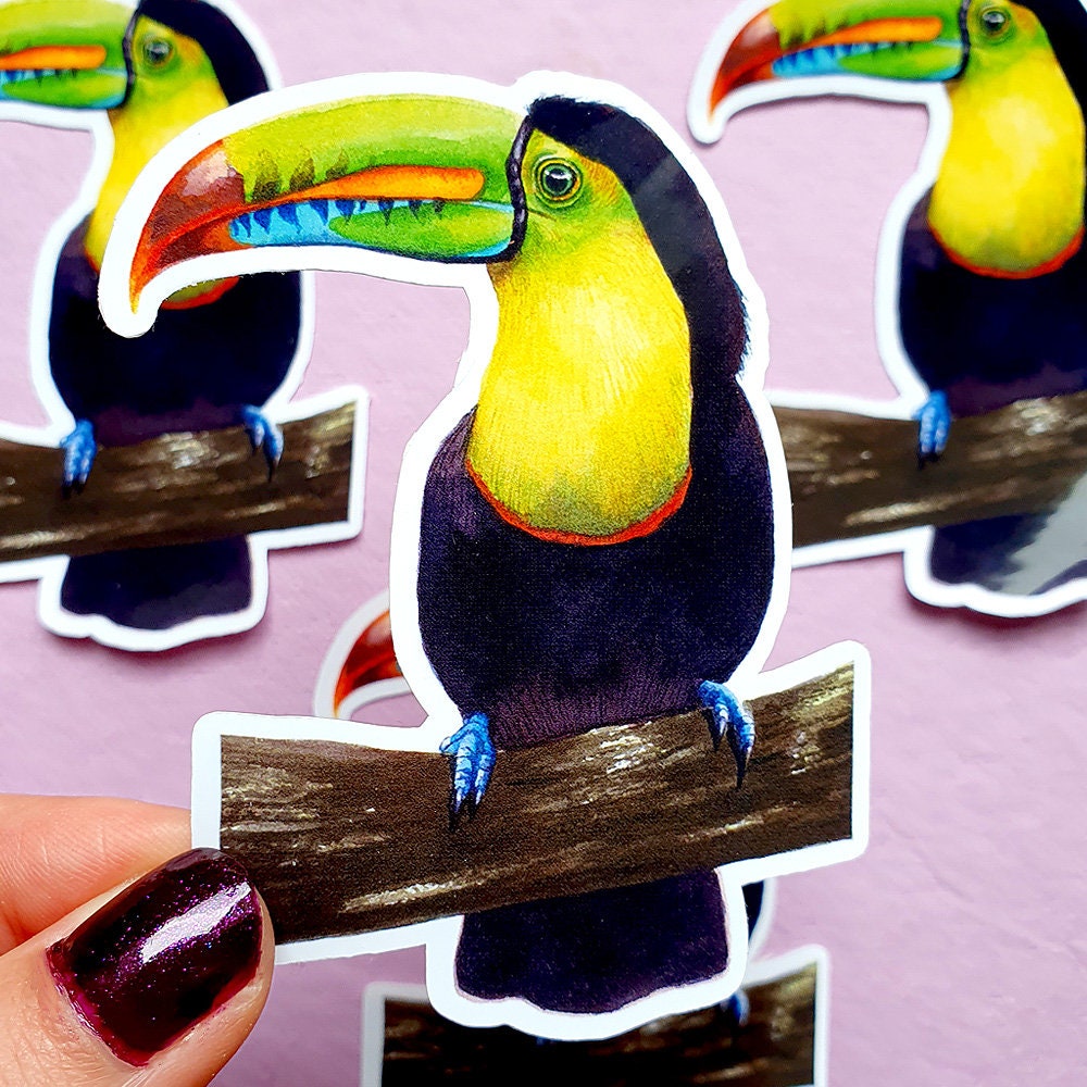 Bird Sticker Sheet, Cute Bird Stickers, A5 Vinyl Sticker Sheet, Budgie,  Parakeet, Toucan, Blue Jay, Cardinal, Conure, Pigeon, Cockatiel