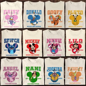 Disney All Characters Costume Shirt, Disney Characters Shirt, Mickey Minnie Stitch Pooh Bear Shirt, Disney Team Shirt, Disney Family Shirt