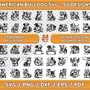 Pacchetto SVG American Bulldog, Clipart Bulldog americano, Bulldog americano png, Bulldog americano SVG, Cane SVG, Clipart cane, Bulldog americano,