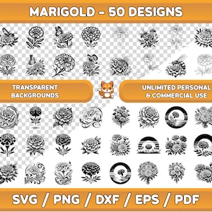 Marigold SVG Bundle: Floral Clipart, Decals (Digital Download)