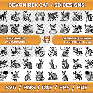 Devon Rex SVG Bundle, Devon Rex Clipart, Devon Rex PNG, Devon Rex Wandkunst, Katze digitale Wandkunst, Katze druckbare Wandkunst, Katze svg, Katze png