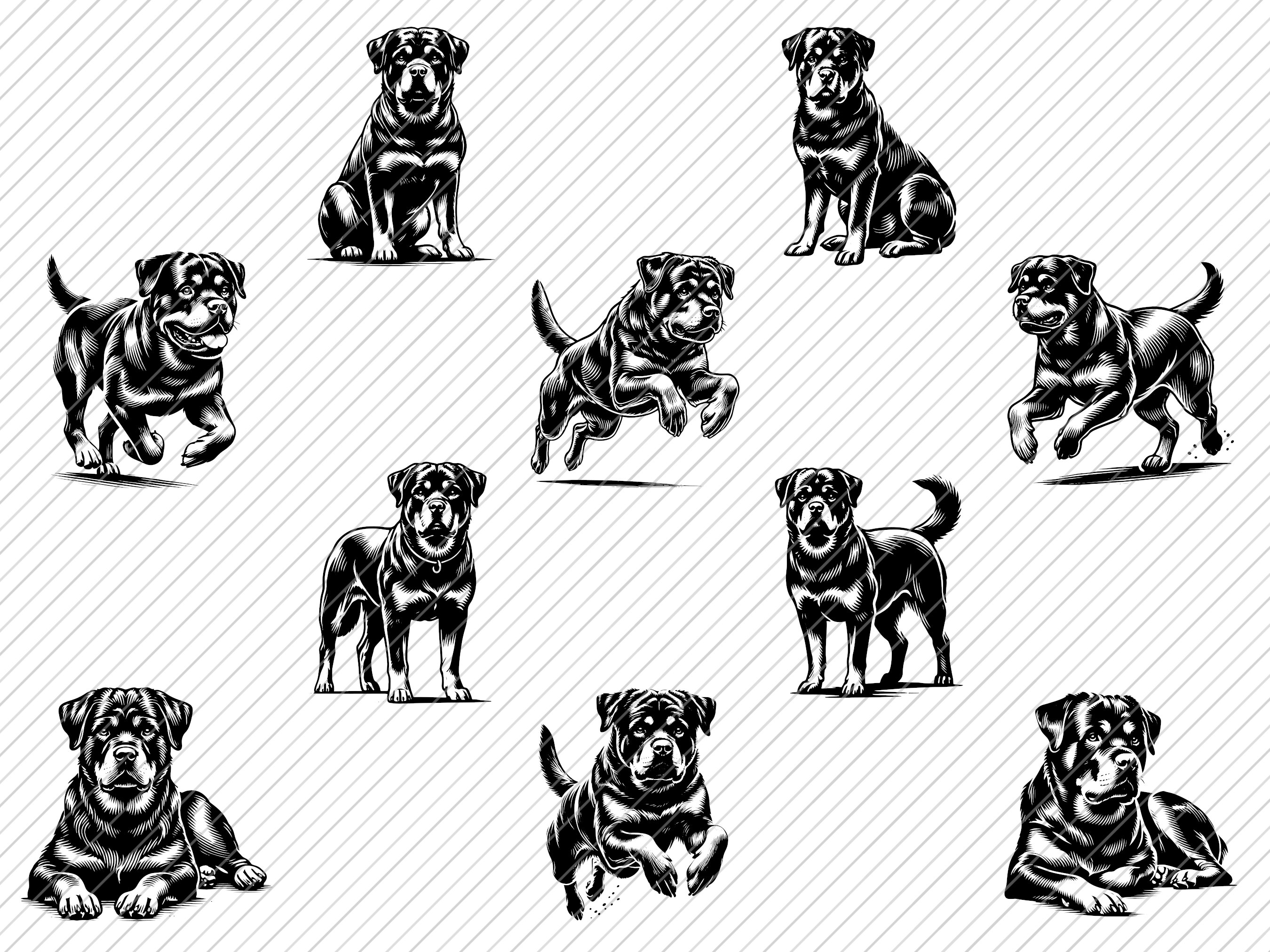 Rottweiler SVG Bundle: 50 Dog Breed Designs (digital Download) - Etsy