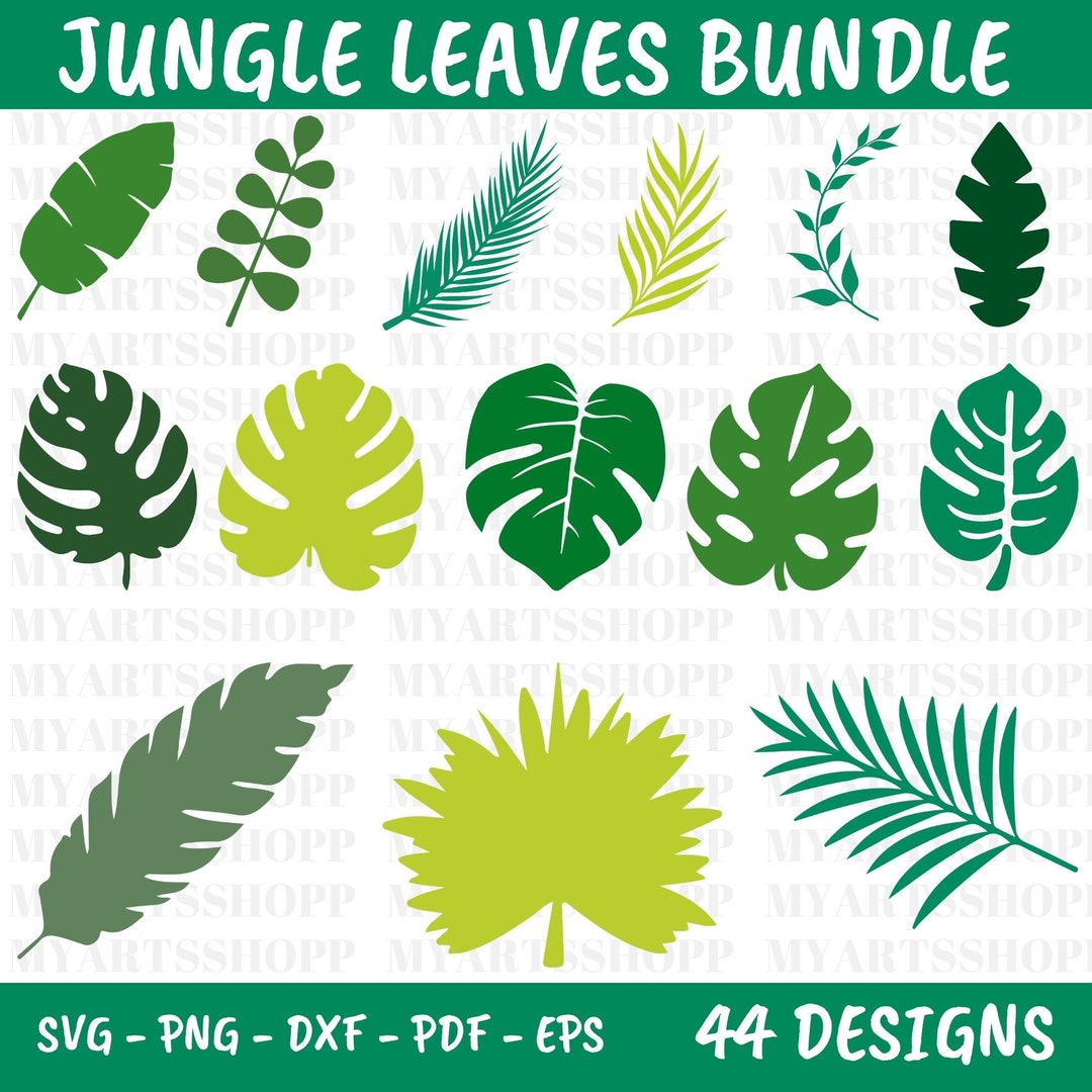 Jungle Leaves Svg Tropical Leaves Svg Bundle Palm Leaves Etsy
