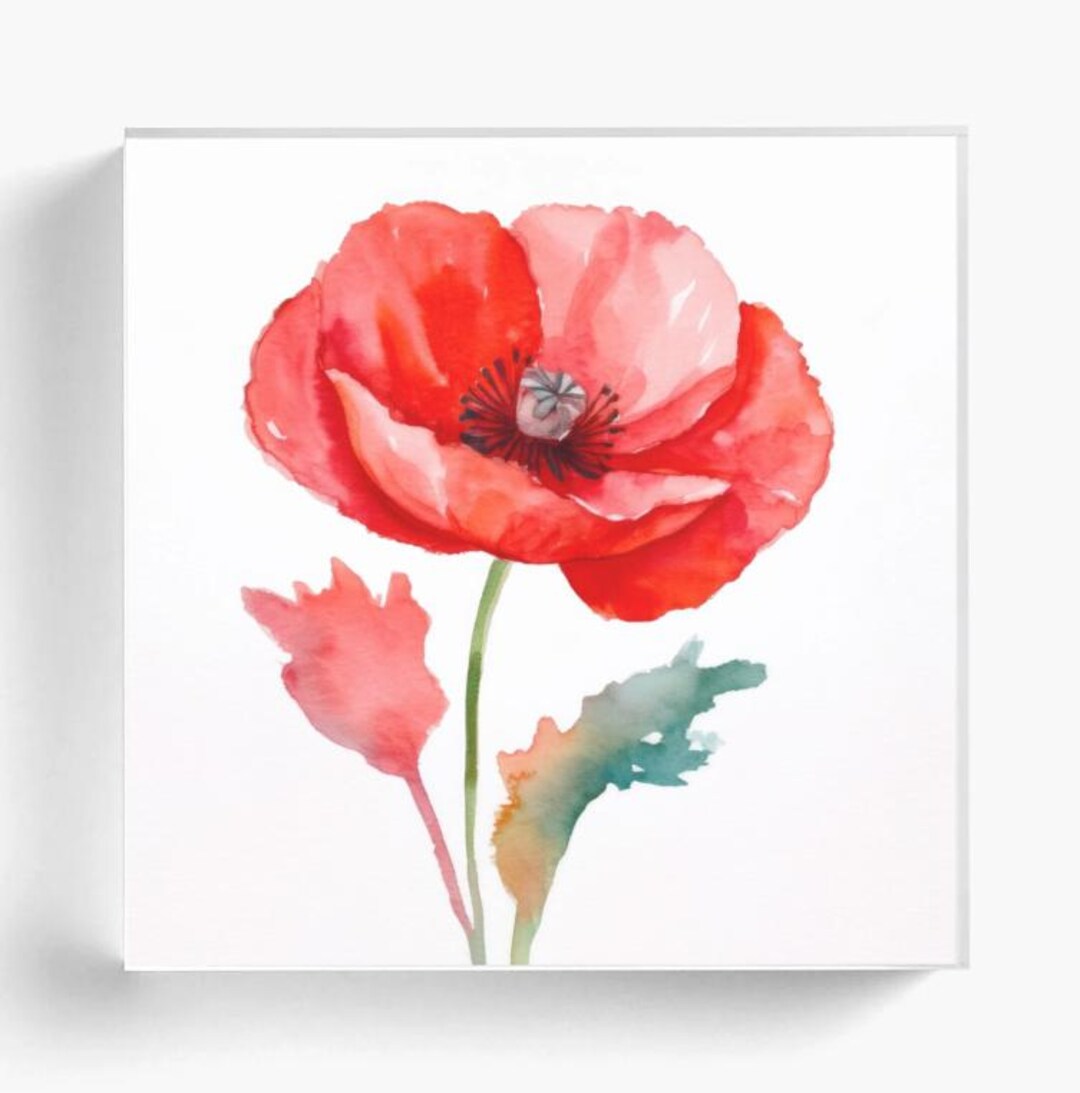 Luxury Acrylic Poppy Picture Block – Colorful Poppy Floral Art 4