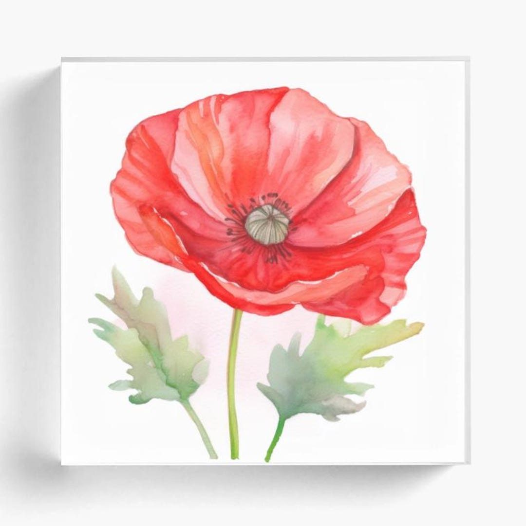 Luxury Acrylic Poppy Picture Block – Colorful Poppy Floral Art 4