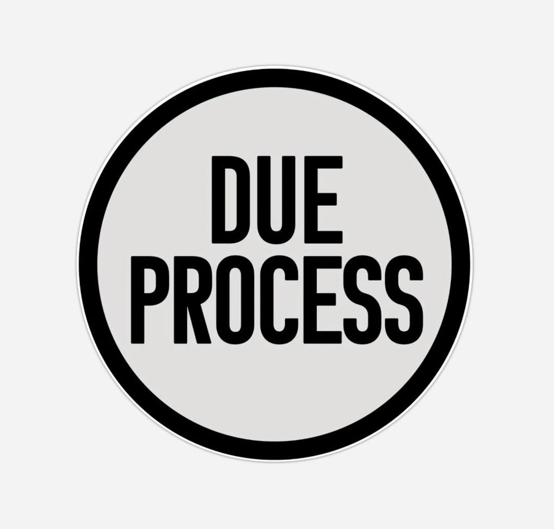 DUE PROCESS Plastic Stickers Bumper Decal Durable Protest Handout - Etsy