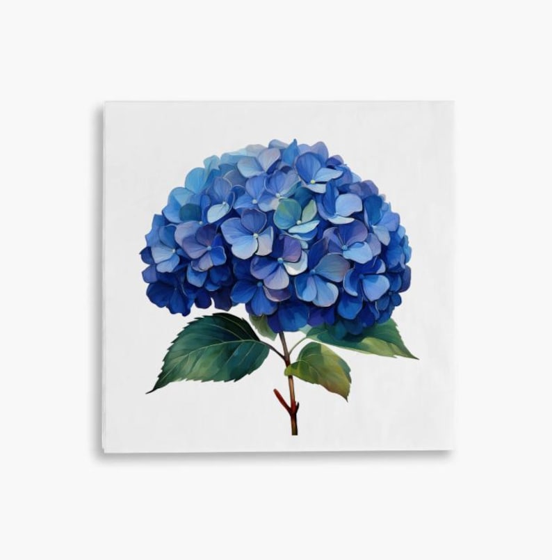 May include: A watercolor painting of a blue hydrangea flower. The flower head is a large cluster of blue petals, with green leaves and a brown stem. The background is white.