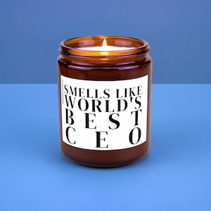 CEO Gift for Chief Executive Officer Future CEO Appreciation New Company Gift Promotion School Acceptance Smells Like Worlds Best CEO