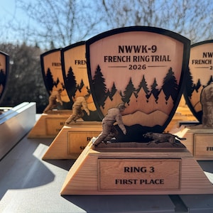 Niestandardowe trofeum z drewna warstwowego | Nagroda wycinana laserowo z grawerem