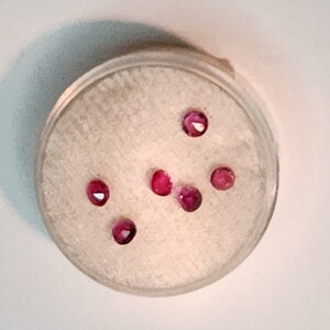 May include: A clear plastic container holding several small, faceted, round, deep red gemstones. The gems are arranged on a white, textured surface within the container. The container is set against a white background.