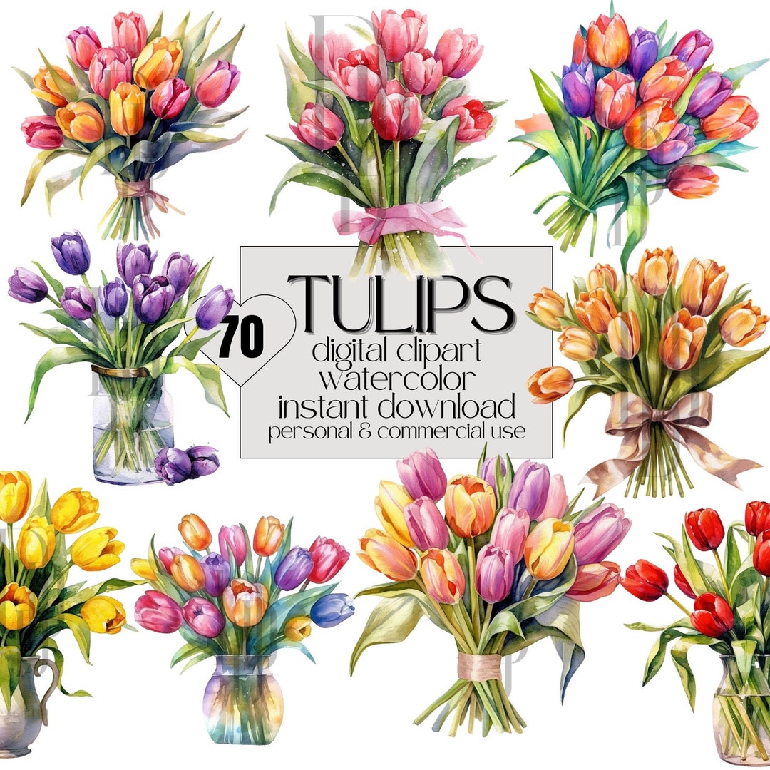 70x Clipart Tulips Flowers Clip Art Watercolor Tulip Clipart Etsy
