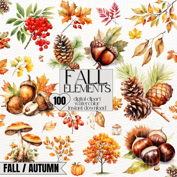 100x Clipart Autunno Elementi Clipart Foglie Autunno Clipart Acquerello Foglia Autunno Clipart Ghianda Pigna Clipart Fungo Castagno Ramo BUNDLE