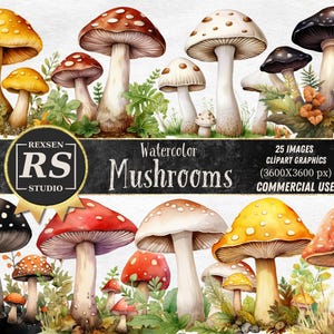 25 cliparts aquarelle de champignons - clipart champignon vénéneux mignon forêt nature format PNG téléchargement immédiat pour un usage commercial