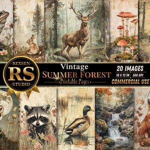 Könnte beinhalten: Eine Collage von Wald-Illustrationen im Vintage-Stil mit Tieren wie Frosch, Hase, Hirsch, Bär, Eule, Waschbär, Ente und Fuchs. Der Text lautet "Vintage Summer Forest Printable Pages" und "20 Bilder 45.7 x 30.5 cm 300 DPI Kommerzielle Nutzung."