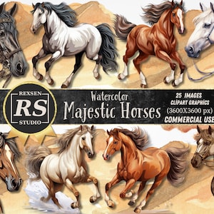 Majestic Horse Clipart Bundle, Horse clipart, Commercial use, Digital Download, Watercolor Clipart, Card Making, Clip Art, 4K PNG and jpg