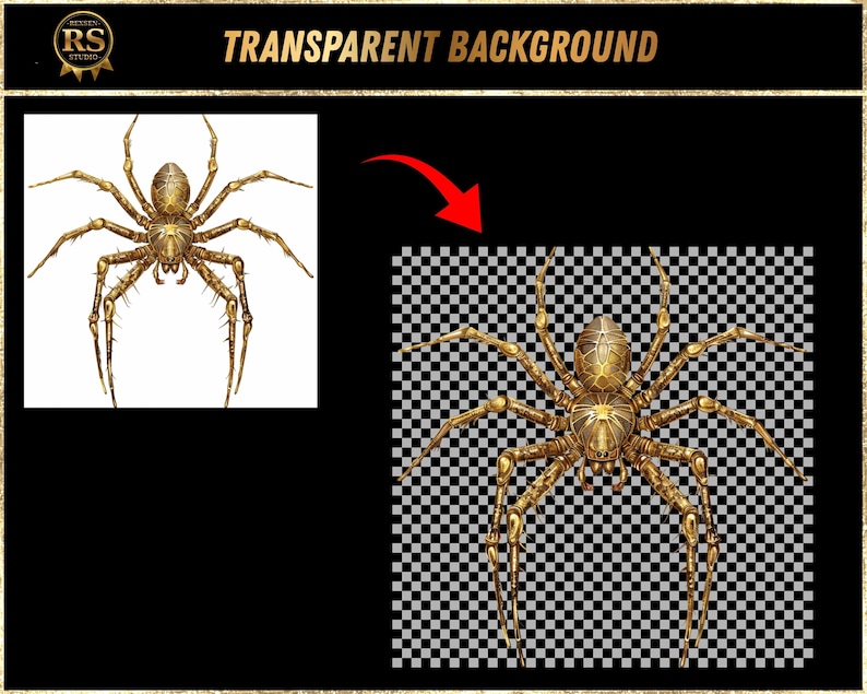 Gold Grunge Cobweb Overlays PNG, 15 Halloween Spider Web Clipart ...