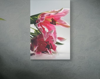 Stampa su tela "Giglio rosa Stargazer" / Arte murale opaca