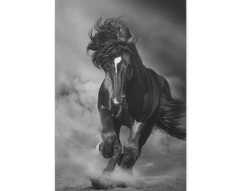 Black Stallion Canvas Print, Equine Wall Art