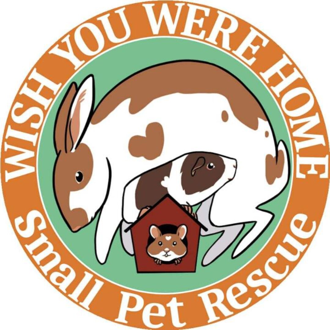 Round Sticker Animal Rescue Logo Sticker Vinyl Decal - Etsy