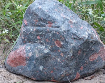 Conglomerate Stone