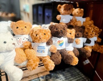 Customized Teddy Bears