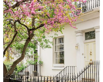 Fotografía de un árbol de lilas en flor de Londres: Arte mural de paisaje urbano primaveral.