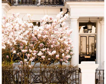 Lámina artística de un árbol de magnolia en flor de Londres - Decoración de pared con fotografía primaveral del Reino Unido