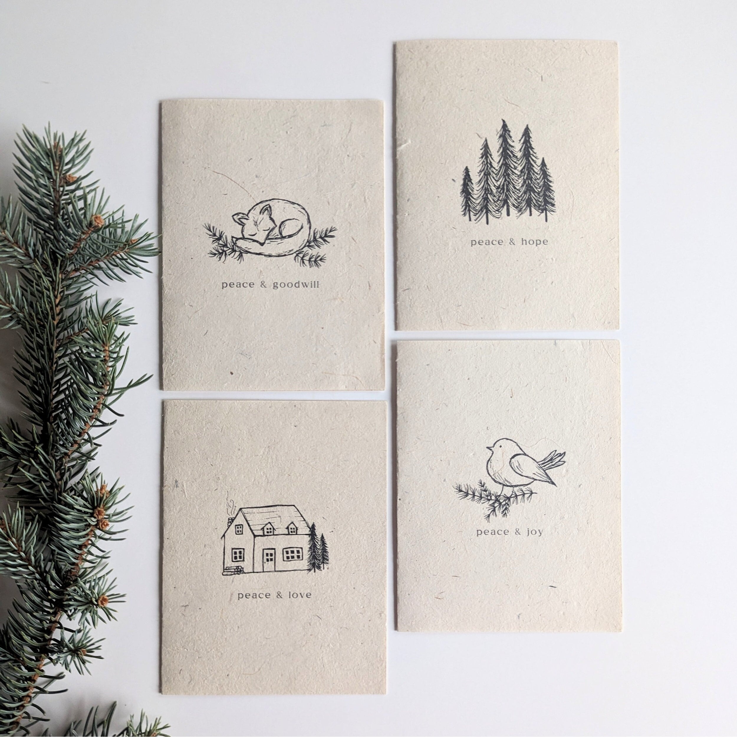 Plantable Seed Paper Cards – Birdbath