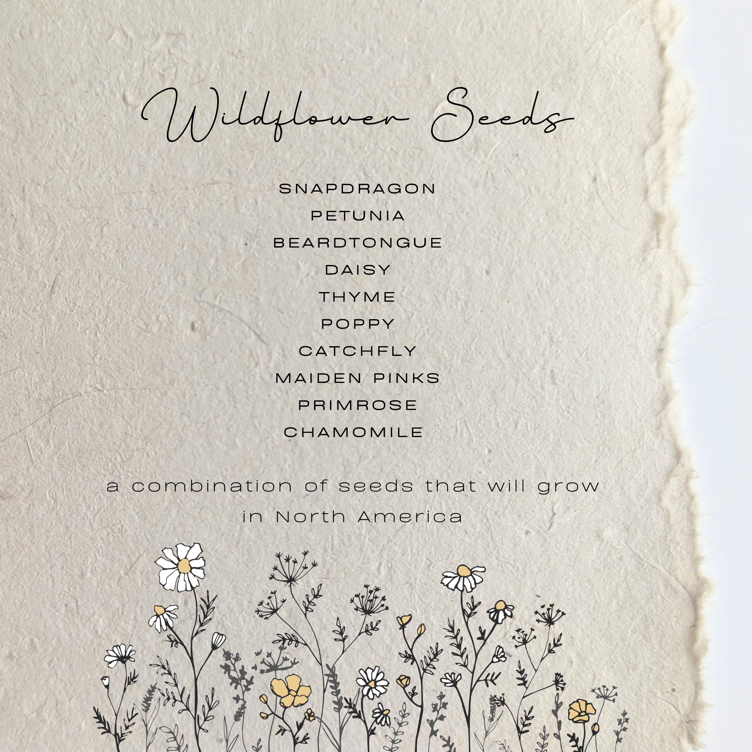 Wildflower Seeded Cards Growing Info | Planting Instructions | Seeded ...
