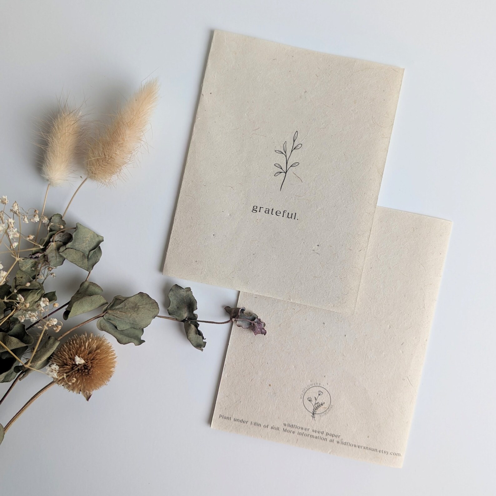 Grateful Seeded Wildflower Paper Thank You Notecard Leaf Drawing Plantable Set of 4 Variety Pack ...