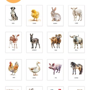 Cartões de memória de animais de fazenda para impressão, cartões de memória Montessori GPEG, PDF, imprimíveis digitais para crianças em idade pré-escolar
