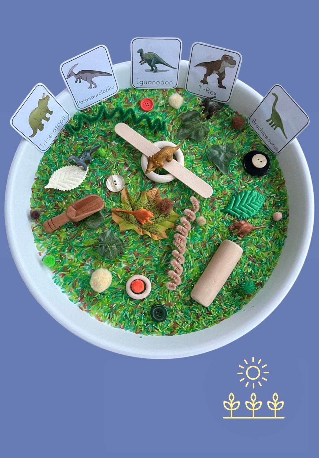 Sensory Play Pack Dinosaur Sensory Play Sensory Rice Sensory Activity ...