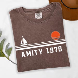 May include: A brown t-shirt with the text "AMITY 1975" in white, along with a sailboat and a sunset graphic. The shirt is folded and has a tag that says "COMFORT COLORS". A brown hat is visible in the background.
